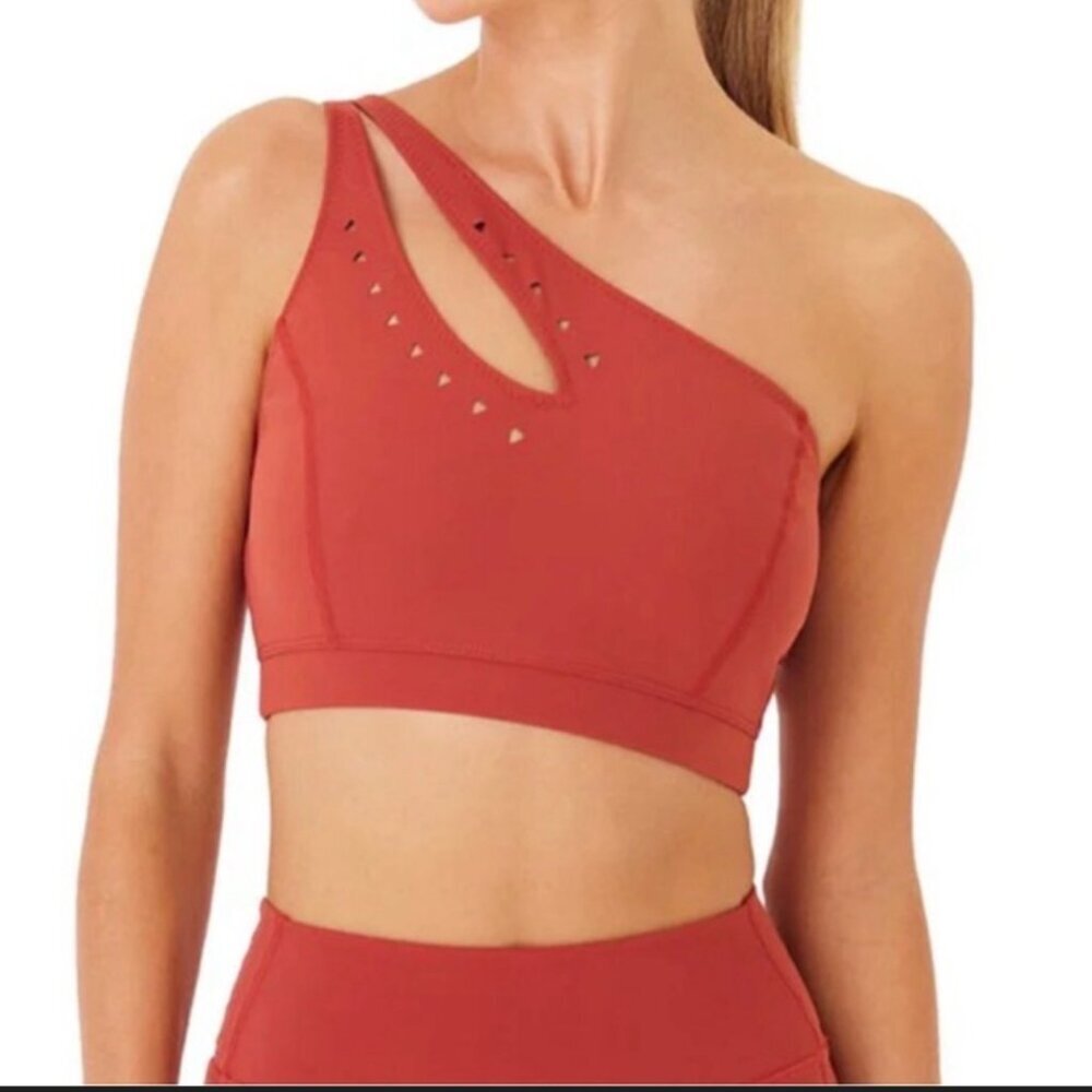 GIGI C Jacqui Sport Bra in Terra Cotta Women's size Large NWT $95